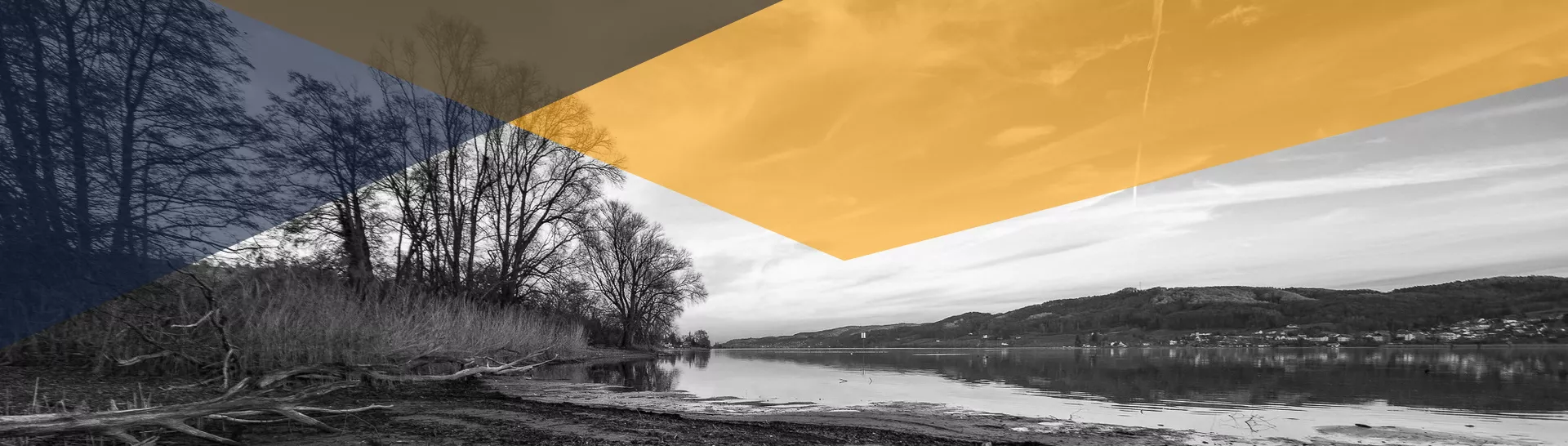 header-5