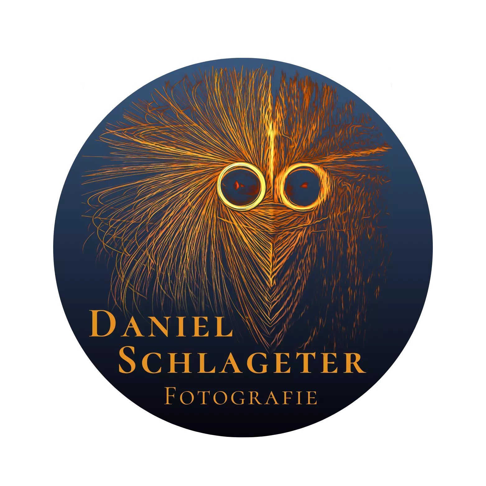 Logo Daniel Schlageter Fotografie